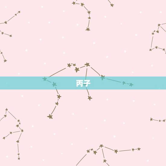 丙子 己亥 癸亥 戊午，癸亥戊午乙未丙子