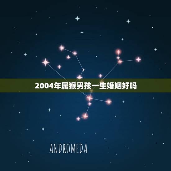 2004年属猴男孩一生婚姻好吗(介绍星座专家介绍)