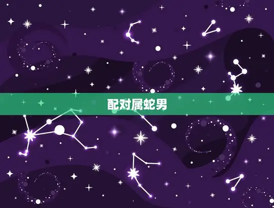配对属蛇男 配对属蛇男