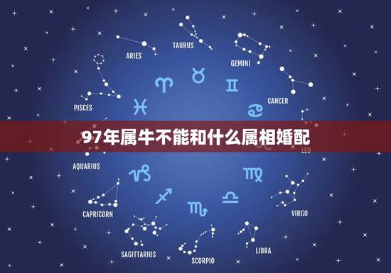 97年属牛不能和什么属相婚配，属牛的和什么属相最配 属牛的属相婚配表