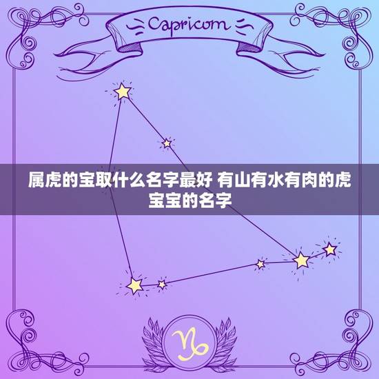 属虎的宝取什么名字最好 有山有水有肉的虎宝宝的名字
