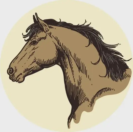 生肖马财位布局