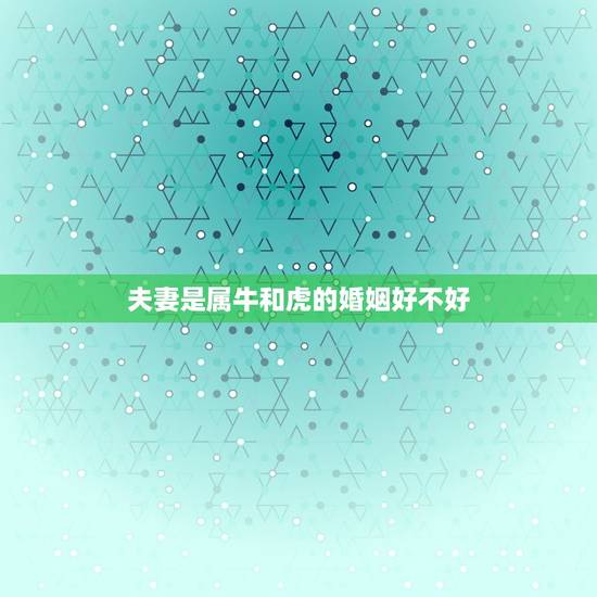 夫妻是属牛和虎的婚姻好不好，属牛与属虎人的婚姻与命运