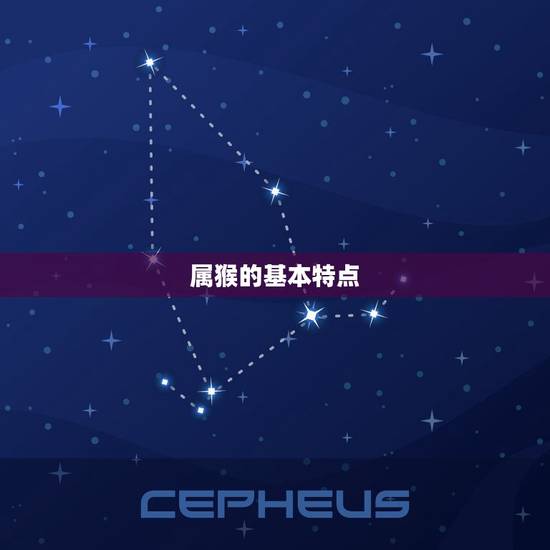 属猴的基本特点