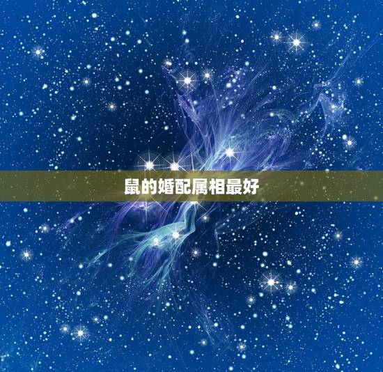 鼠的婚配属相最好,属鼠的婚配什么属相 鼠的婚配属相最好,属鼠的婚配什么属相