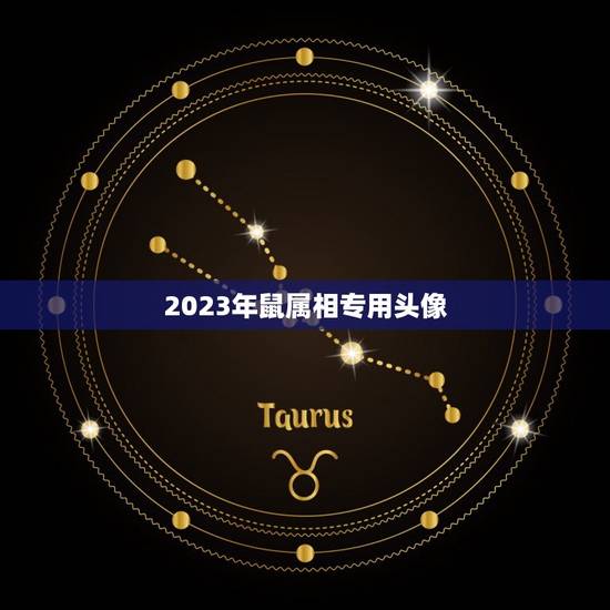 2023年鼠属相专用头像，2023年十二生肖对照表
