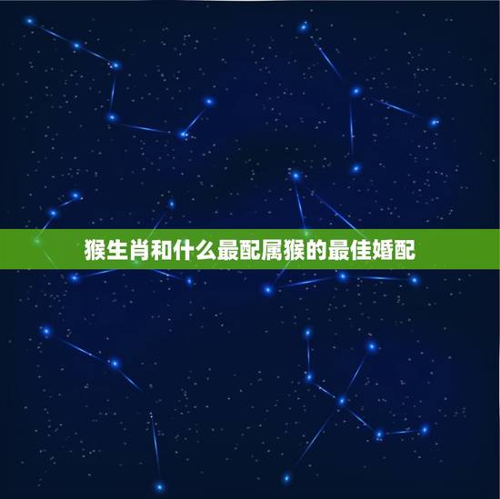 猴生肖和什么最配属猴的最佳婚配，属猴的和什么属相最配，属猴的属相婚配表