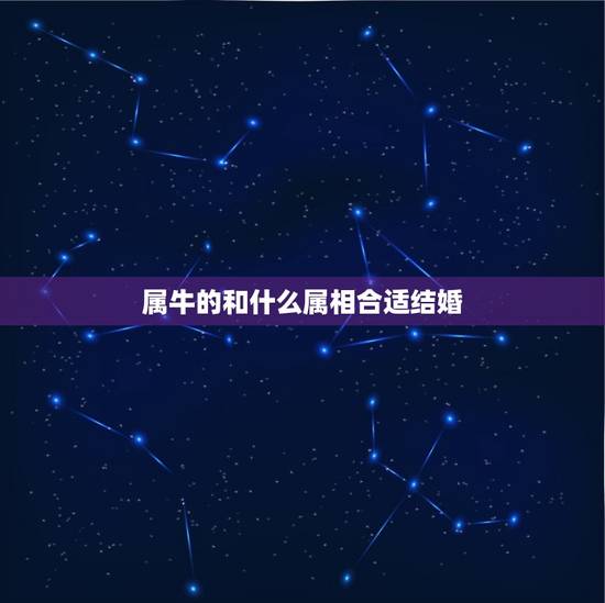 属牛的和什么属相合适结婚，属牛的和属什么的结婚好？