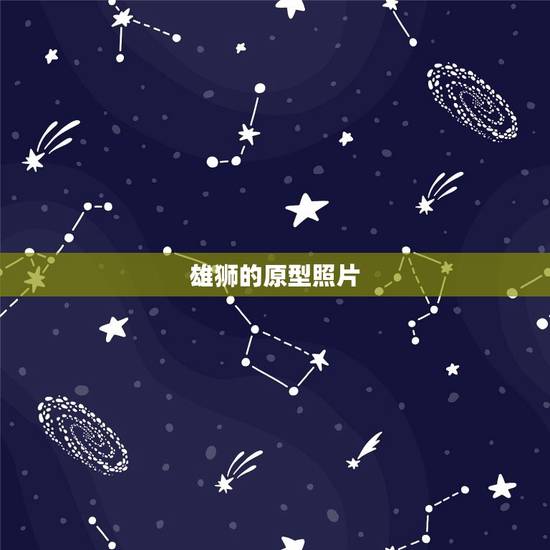 雄狮的原型照片，雄狮剧情