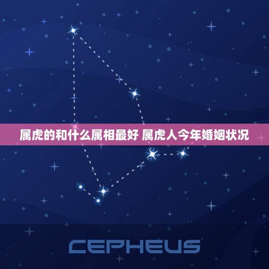 属虎的和什么属相最好 属虎人今年婚姻状况 属虎的和什么属相最好 属虎人今年婚姻状况