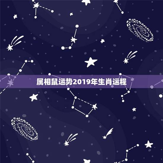 属相鼠运势2019年生肖运程，属鼠11月19日出生2016运势