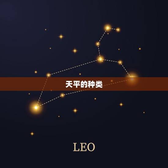 天平的种类 天平的种类