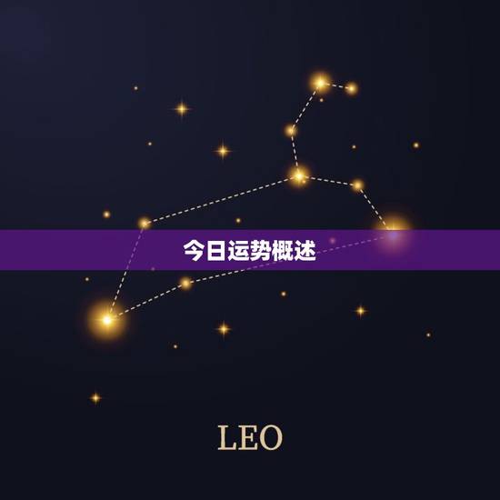 今日运势概述