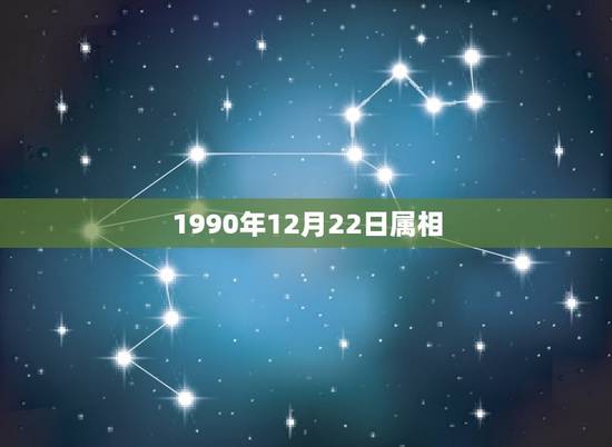 1990年12月22日属相，农历1990年12月22日午时生的属于什么