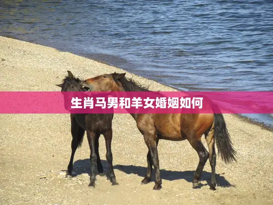 生肖马男和羊女婚姻如何(幸福美满还是坎坷不堪)