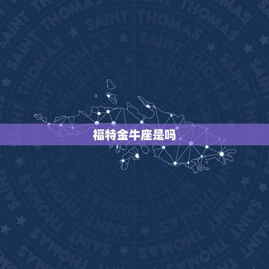 福特金牛座是吗，买福特金牛座后悔了