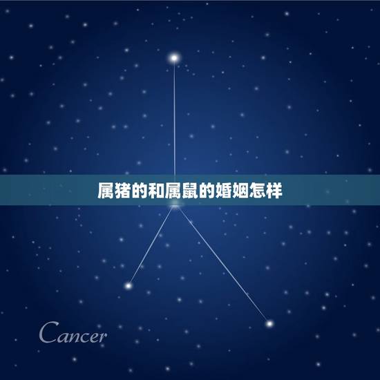 属猪的和属鼠的婚姻怎样,属猪女人和属鼠男人的婚姻如何 属猪的和属鼠的婚姻怎样,属猪女人和属鼠男人的婚姻如何