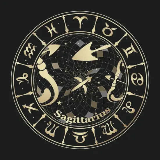 属马健康注意事项