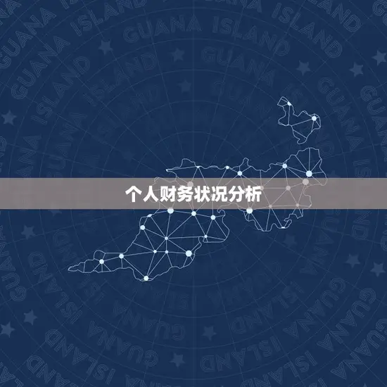 个人财务状况分析