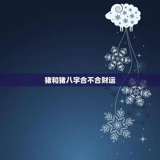 猪和猪八字合不合财运