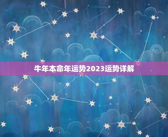 牛年本命年运势2023运势详解，牛年牛的运势2023运势