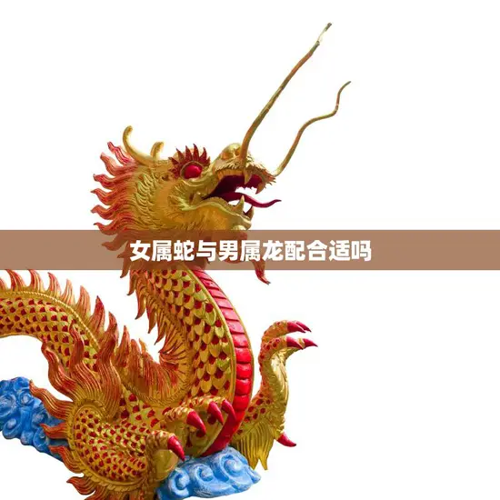 女属蛇与男属龙配合适吗(解析属相配对的奥秘)