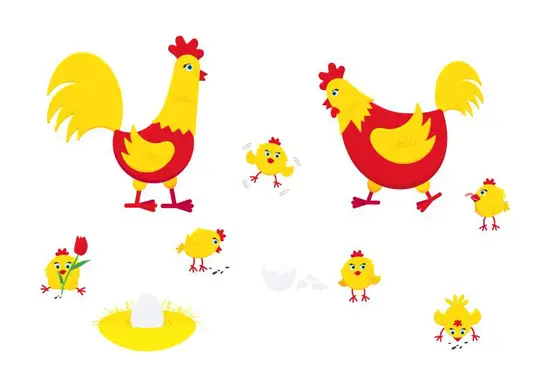 属鸡的最忌讳哪个月出生(揭秘这个月份让属鸡人事业难上加难)