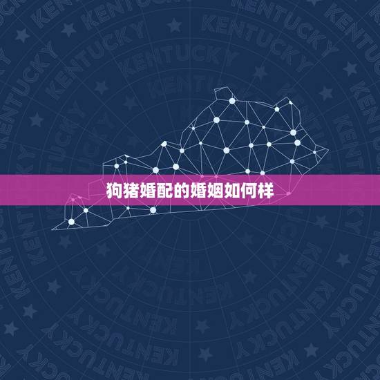 狗猪婚配的婚姻如何样，狗配猪生肖结婚最好