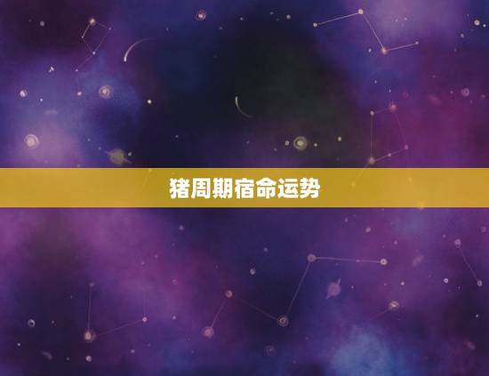 猪周期宿命运势