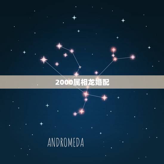 2000属相龙婚配,属龙与属龙的相配吗 2000属相龙婚配,属龙与属龙的相配吗