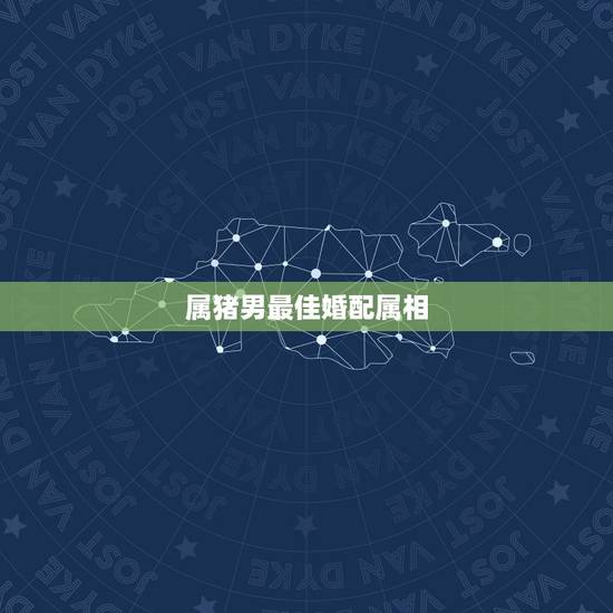 属猪男最佳婚配属相，属猪男与什么属相的女孩结婚最好