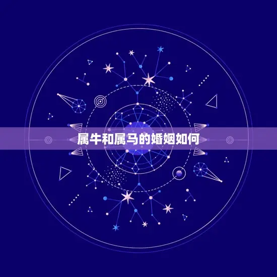 属牛和属马的婚姻如何