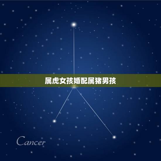 属虎女孩婚配属猪男孩，属虎男和属猪女婚姻相配吗