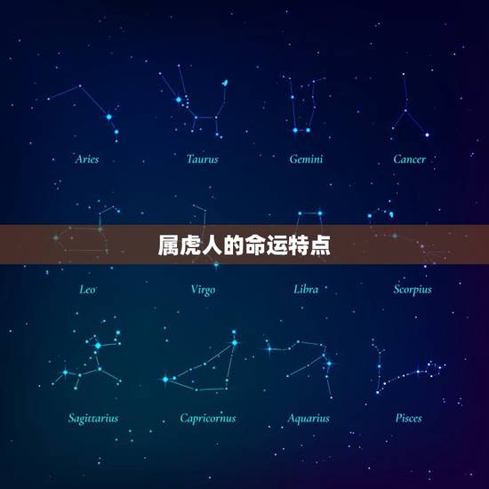 属虎人的命运特点