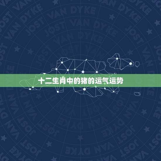 十二生肖中的猪的运气运势，属猪人十二生肖运势