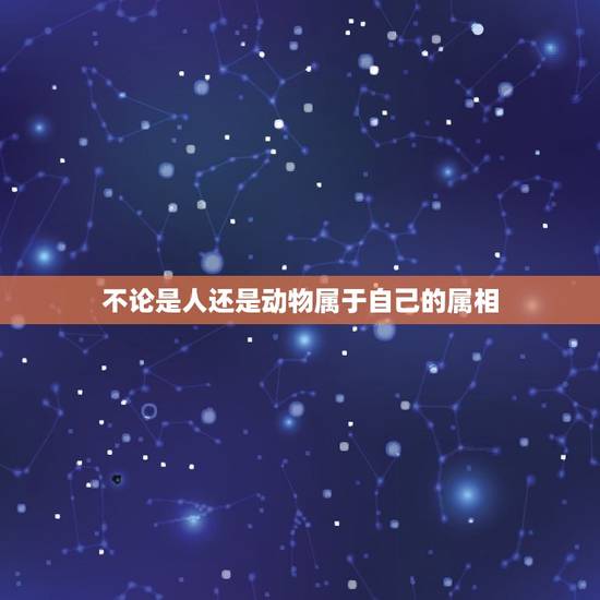 不论是人还是动物属于自己的属相，兴罪问师是哪些生肖？
