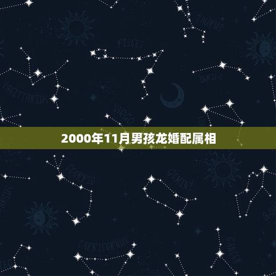 2000年11月男孩龙婚配属相，属龙的女生2000年的和什么属相的男生
