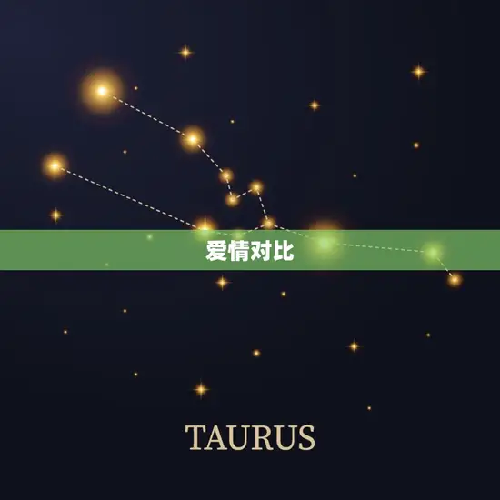 爱情对比 爱情对比