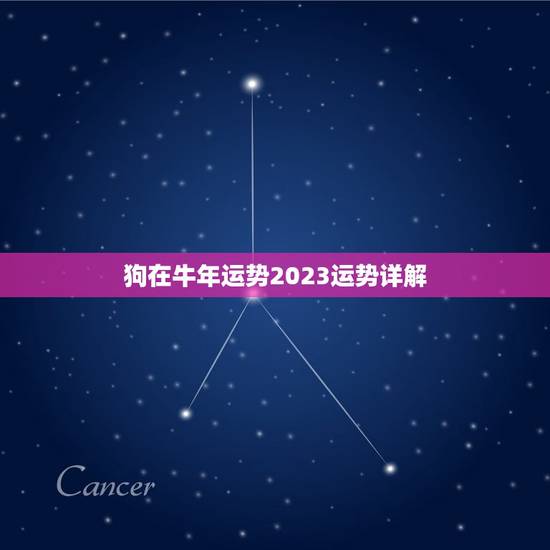 狗在牛年运势2023运势详解，70年属狗2023年运势及运程每月运程