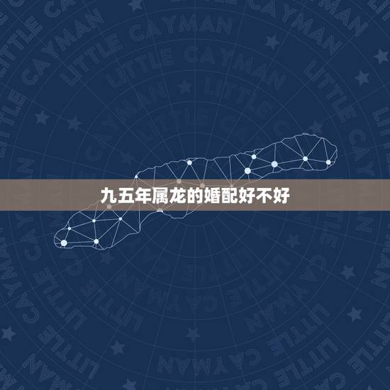 九五年属龙的婚配好不好，95年属猪男和00年属龙女相配吗