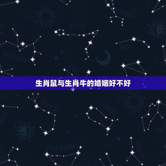 生肖鼠与生肖牛的婚姻好不好，属鼠的人跟属牛的人结婚好不好？性格合不合？