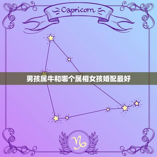 男孩属牛和哪个属相女孩婚配最好，属牛的和什么属相最相配 12属相婚配表