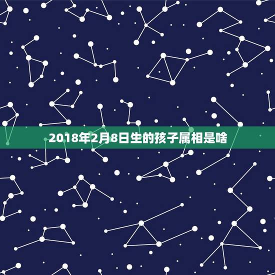 2018年2月8日生的孩子属相是啥，老公属龙1976年2月8日生，水瓶