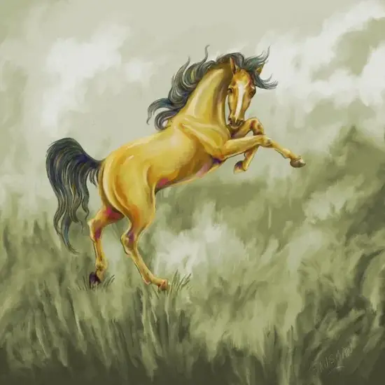 生肖马今日财运方位