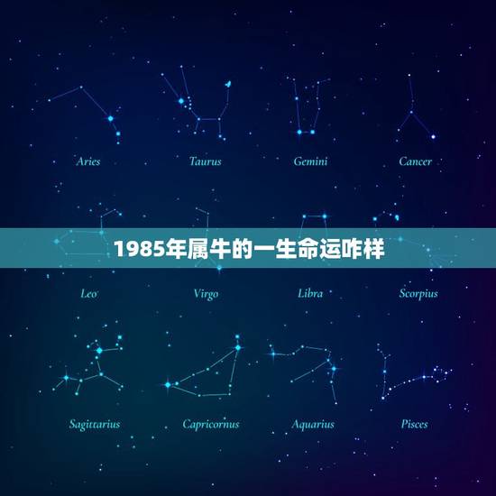 1985年属牛的一生命运咋样,属牛1985年出生是什么命 1985年属牛的一生命运咋样,属牛1985年出生是什么命
