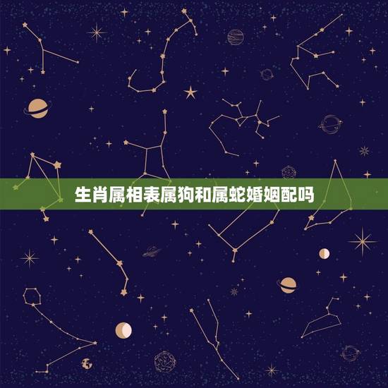 生肖属相表属狗和属蛇婚姻配吗，属狗和属蛇的人能相配吗？