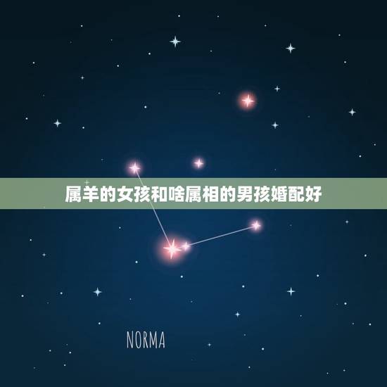 属羊的女孩和啥属相的男孩婚配好,属羊的和什么属相相配最好 属羊的女孩和啥属相的男孩婚配好,属羊的和什么属相相配最好