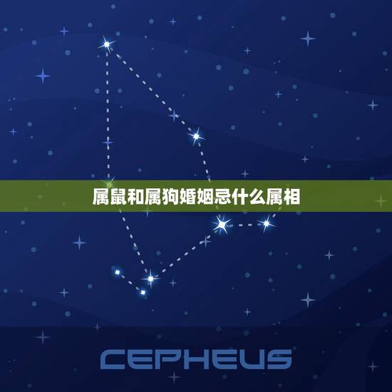 属鼠和属狗婚姻忌什么属相，属狗和属鼠的人结婚属什么的回避