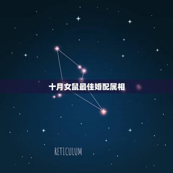 十月女鼠最佳婚配属相，生肖鼠最佳配对属相？