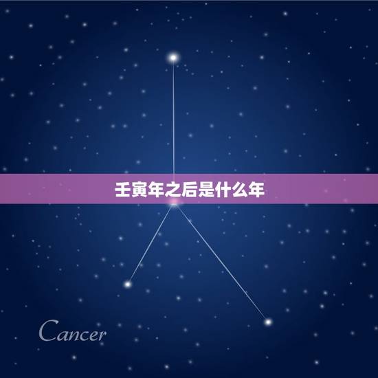 壬寅年之后是什么年，壬寅虎年是什么命